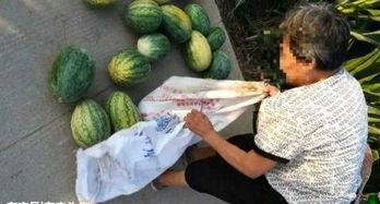 郴州吃瓜最新事件爆料,揭秘背后惊人真相，网络舆论漩涡再起  第3张