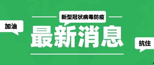 最新爆料模板大全图片,图片背后的秘密与趋势解析 第3张 最新爆料模板大全图片,图片背后的秘密与趋势解析 第3张
